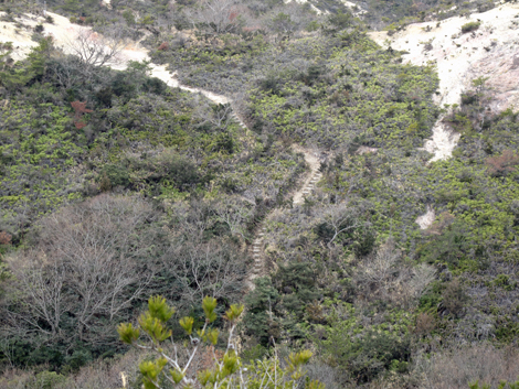 20140125hike (229)